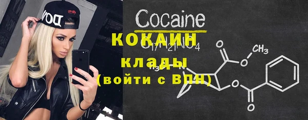 хмурый Алексин