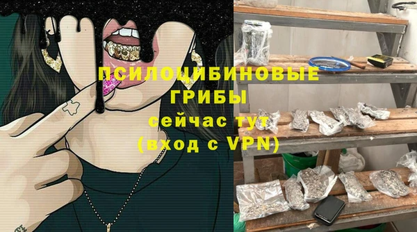 гидра Аркадак