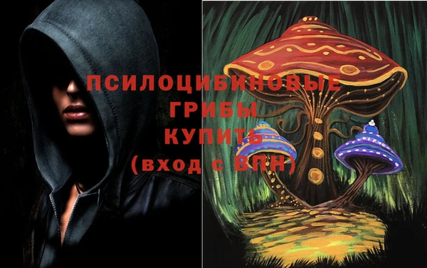 ПСИЛОЦИБИНОВЫЕ ГРИБЫ Алзамай