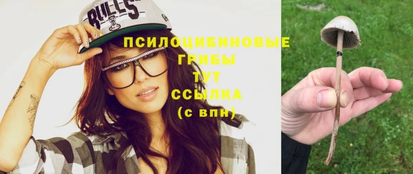 дмт Алексеевка