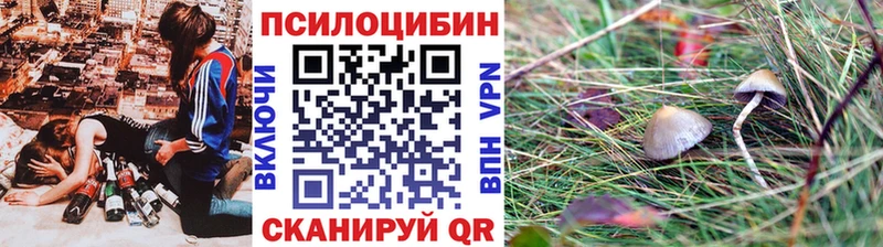 Псилоцибиновые грибы Psilocybine cubensis  мега ТОР  Пустошка  где купить наркотик 